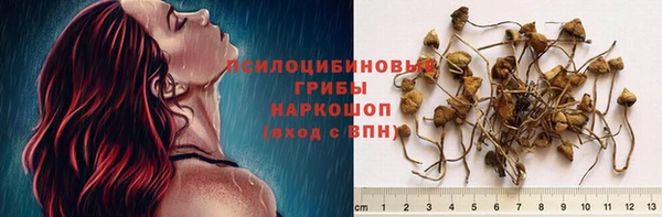 spice Зеленокумск